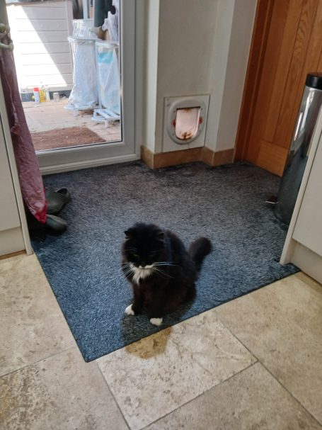A black and white cat sits by a cat flap in a doorway.